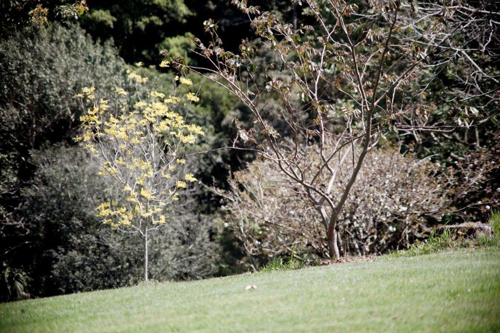 فيلا Mt Glorious Getaways Mount Glorious المظهر الخارجي الصورة