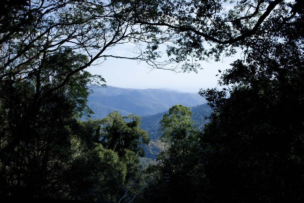فيلا Mt Glorious Getaways Mount Glorious المظهر الخارجي الصورة